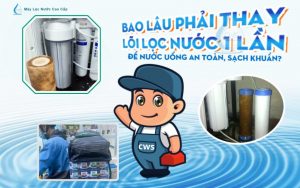 bao lâu thay lõi lọc nước Karofi 1 lần là đúng?